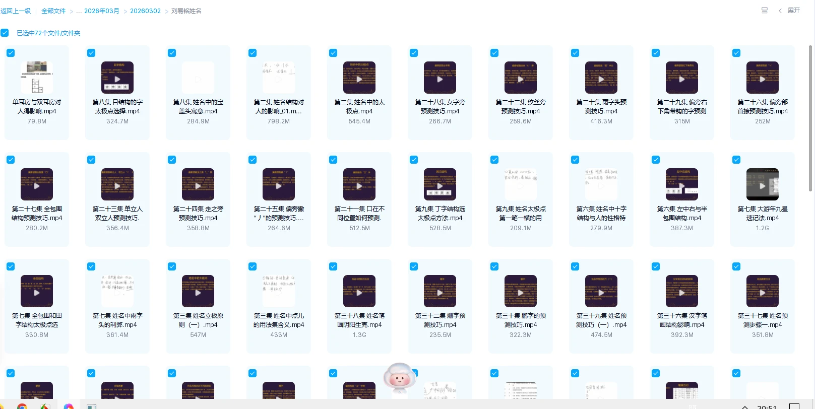 20260317205133862 image