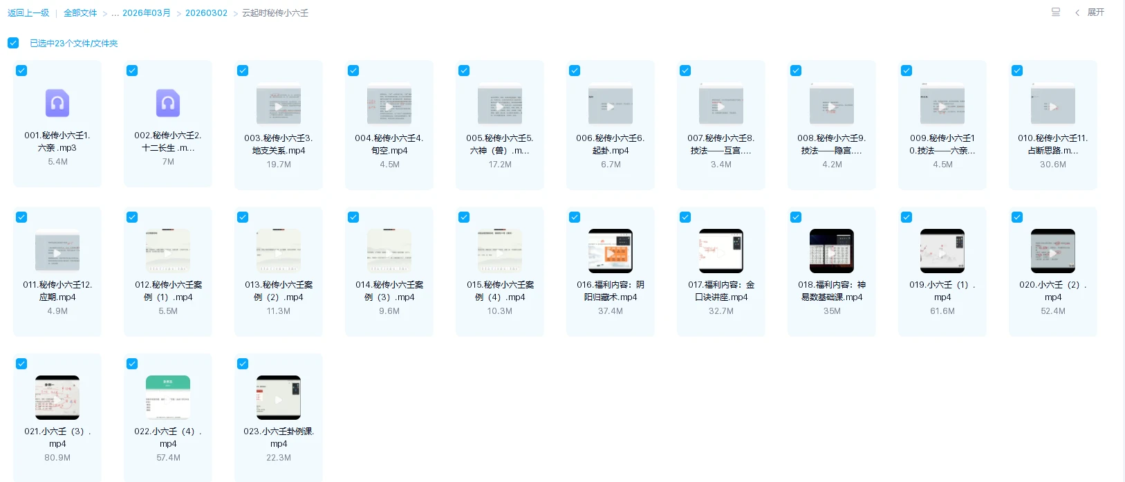 20260324191135348 image