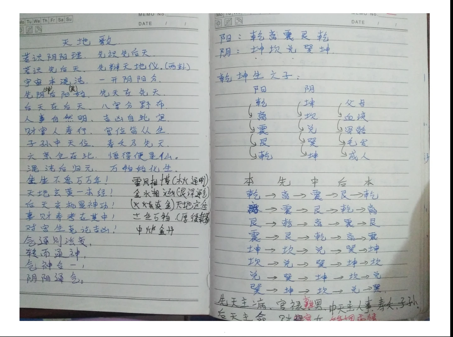 杨公秘技手写1手写杨师秘传批注笔记（109页）_易经玄学资料网