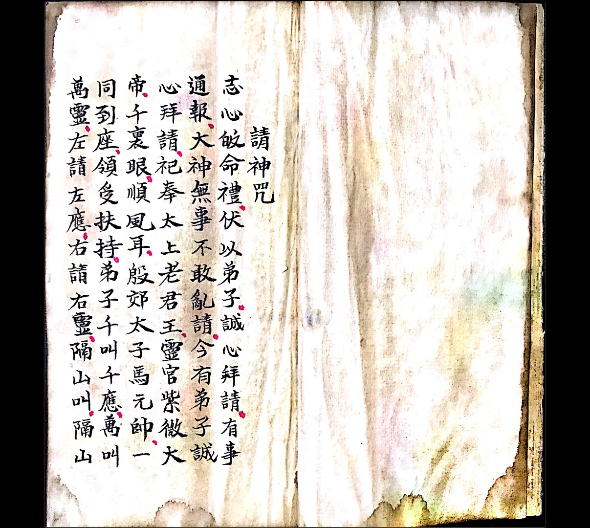 20260326224104862 image