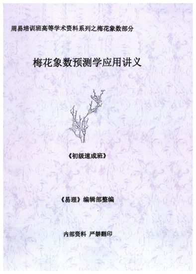 《黄鉴梅花象数预测学应用讲义初中高【原版】》PDF电子书_易经玄学资料网