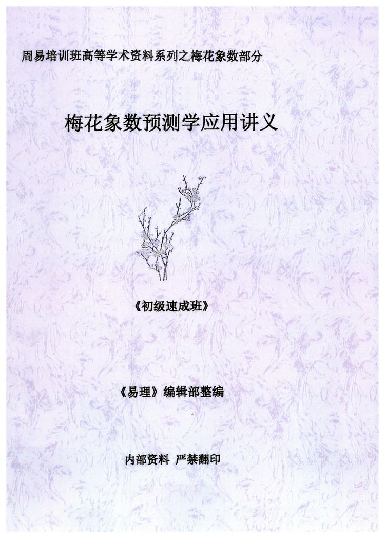 《黄鉴梅花象数预测学应用讲义初中高【原版】》PDF电子书（279页）_易经玄学资料网