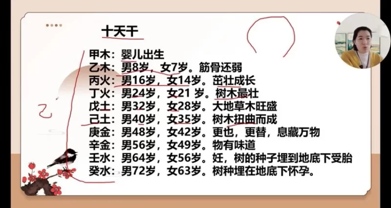 《如是禅说梅花易数 30集视频》_易经玄学资料网