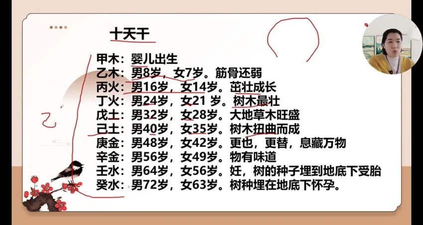 《如是禅说梅花易数 30集视频》视频30集_易经玄学资料网
