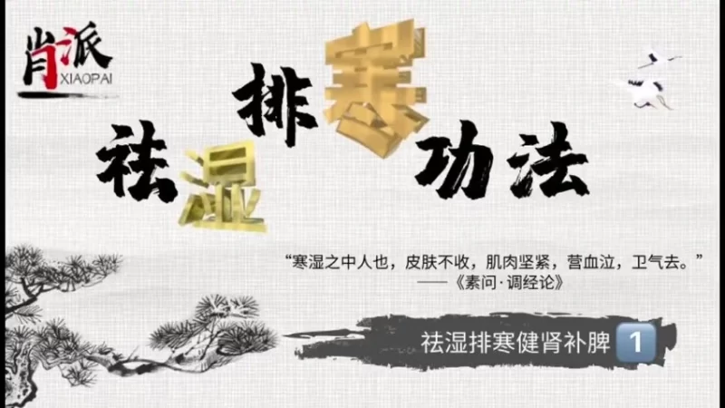《肖派祛湿排寒功法》_易经玄学资料网