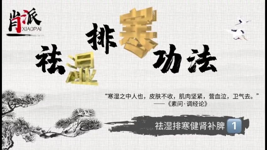 《肖派祛湿排寒功法》视频4集_易经玄学资料网