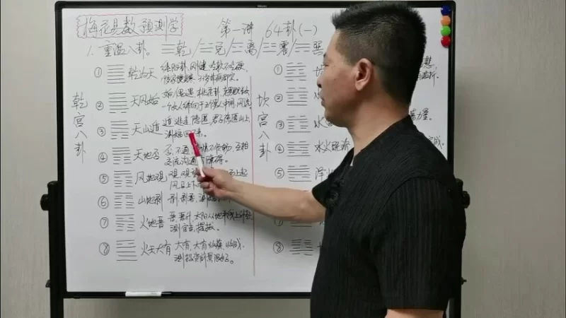 张老师《张老师讲梅花》_易经玄学资料网