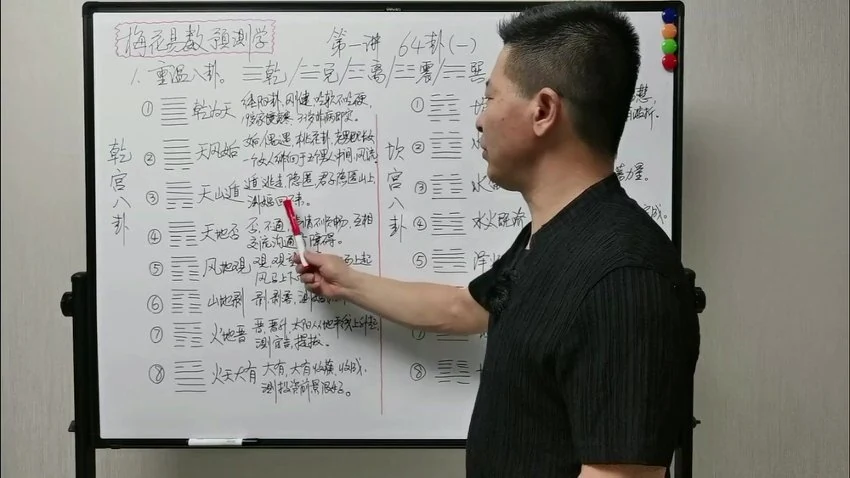 张老师《张老师讲梅花》视频23集_易经玄学资料网