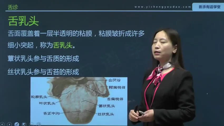 《中医四诊望闻问切28讲》视频28集_易经玄学资料网