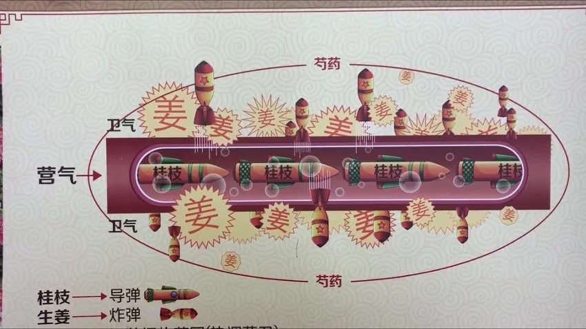 《火神门-跟我学扶阳》共21节课_易经玄学资料网