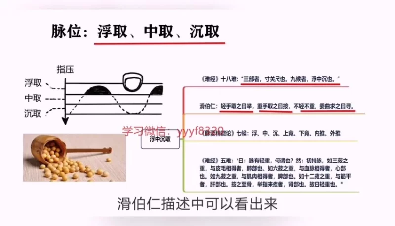 《古训堂陈雷 伤寒脉法讲解》_易经玄学资料网