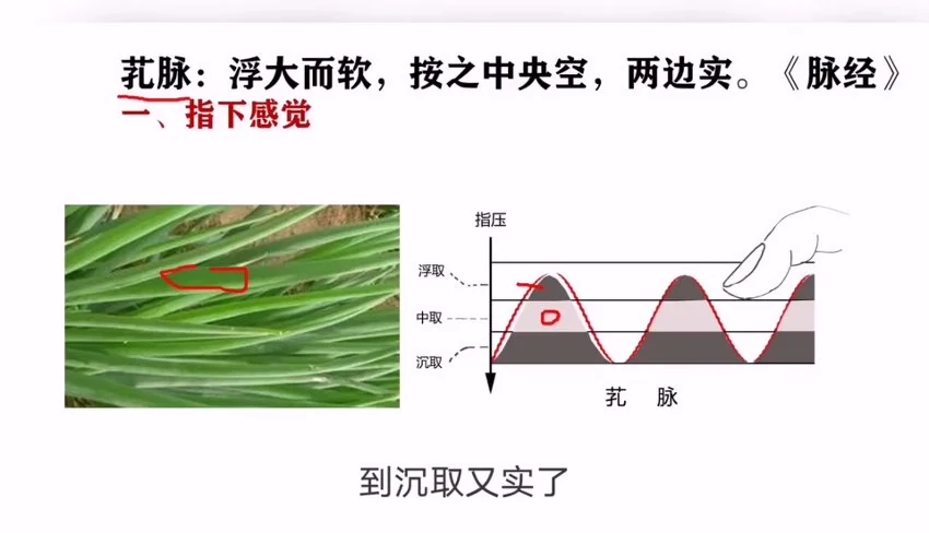 资源截图