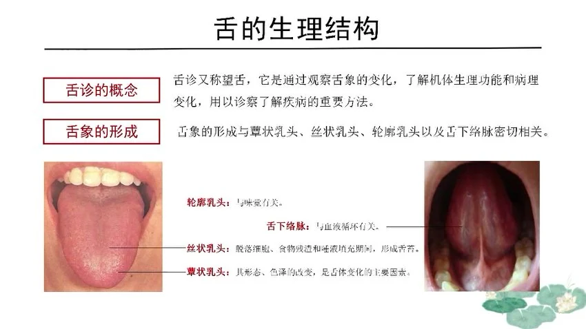 资源截图