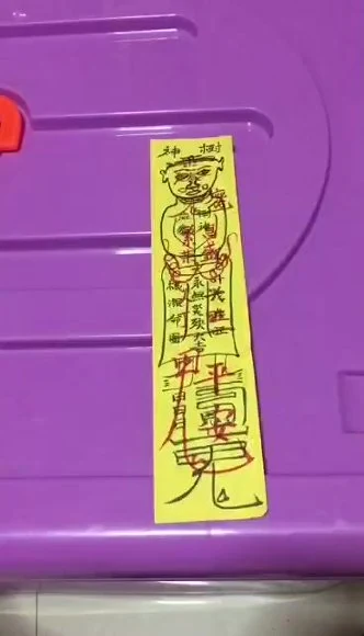 《神奇发财树视频+课件》视频1集_易经玄学资料网