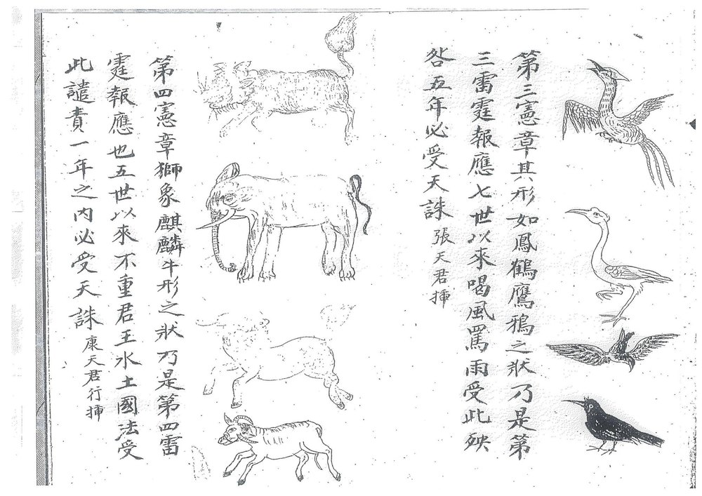 资源截图