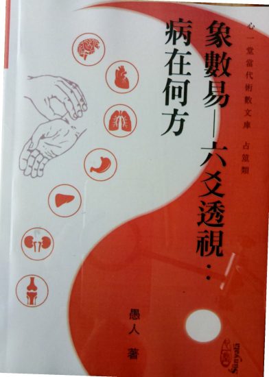 《六爻透视：病在何处》PDF电子书_易经玄学资料网