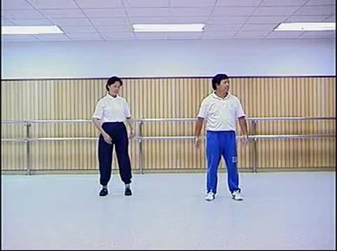 《内劲一指禅》_易经玄学资料网