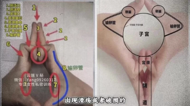 男女私密《男女私密 手诊》_易经玄学资料网