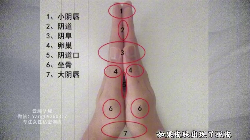 资源截图