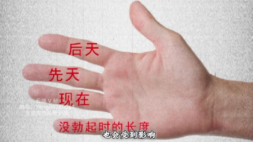 资源截图