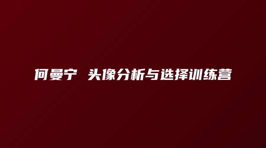 何曼宁 头像分析与选择训练营