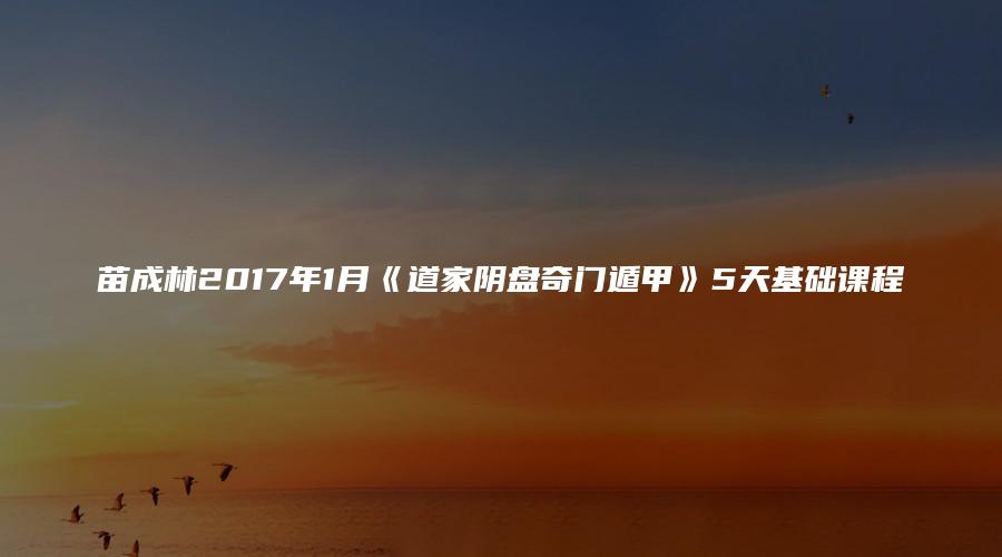 苗成林2017年1月《道家阴盘奇门遁甲》5天基础课程