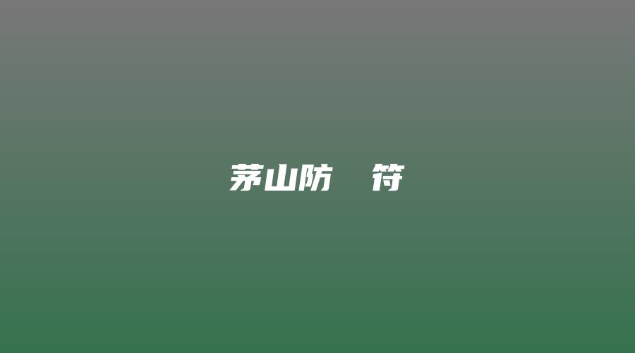 茅山防竊盜符
