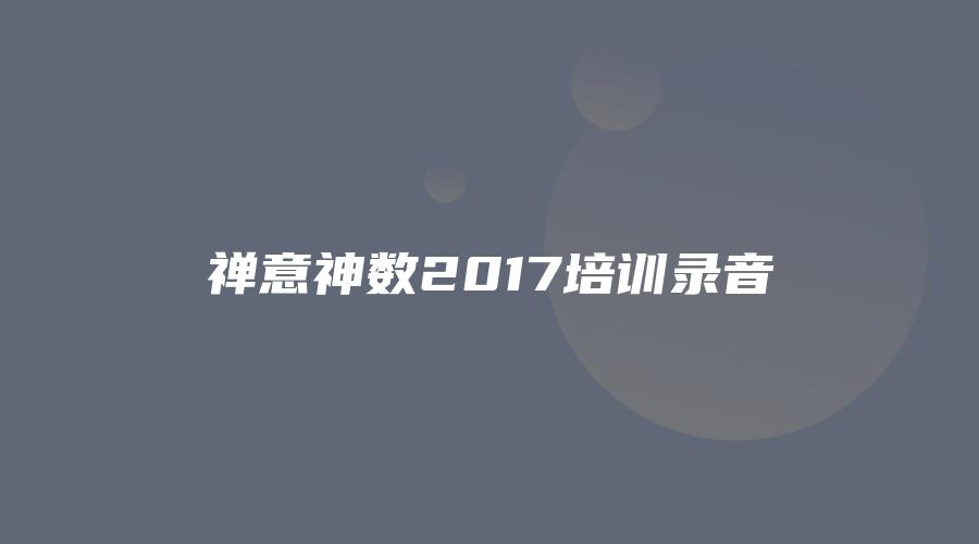 禅意神数2017培训录音