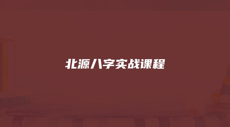北源八字实战课程