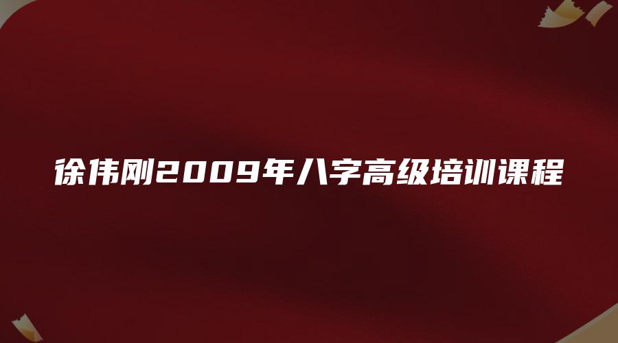 徐伟刚2009年八字高级培训课程