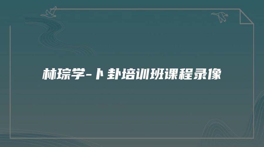 林琮学-卜卦培训班课程录像