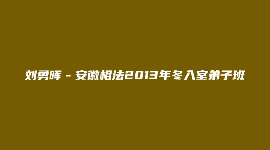 刘勇晖－安徽相法2013年冬入室弟子班
