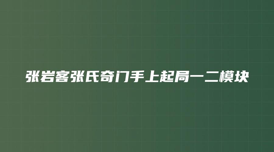 张岩客张氏奇门手上起局一二模块