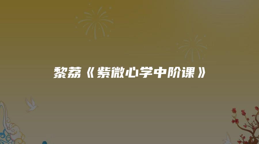 黎荔《紫微心学中阶课》