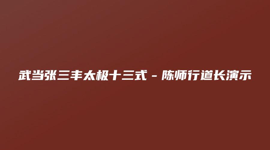 武当张三丰太极十三式－陈师行道长演示