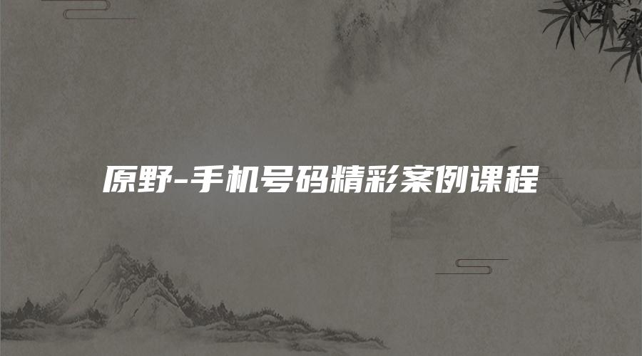 原野-手机号码精彩案例课程