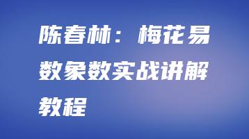 陈春林：梅花易数象数实战讲解教程（视频6集）_易经玄学资料网