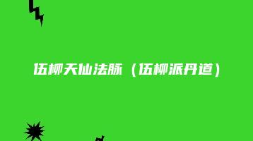伍柳天仙法脉（伍柳派丹道）（视频9节）_易经玄学资料网